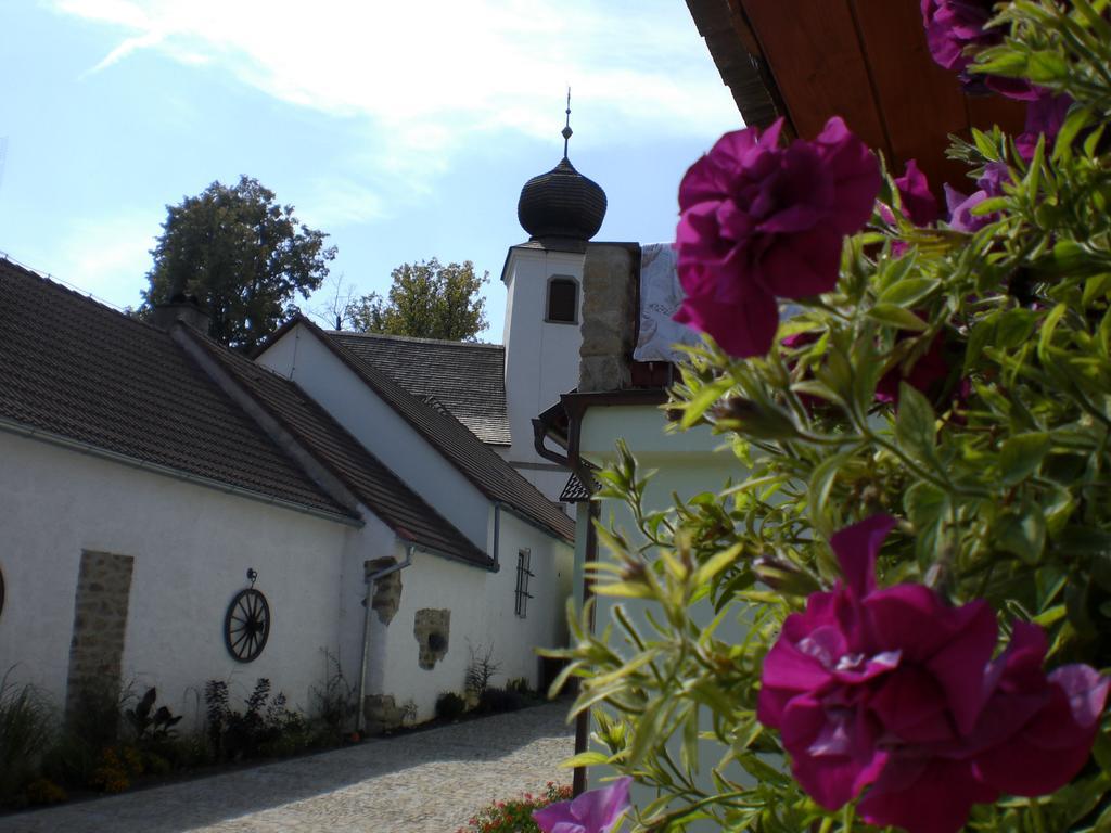 Penzion Cas Hotel Cesky Rudolec Luaran gambar